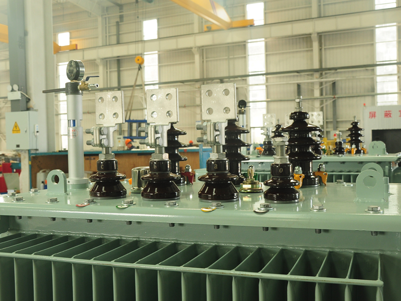 衡阳S13-500KVA油浸式变压器厂